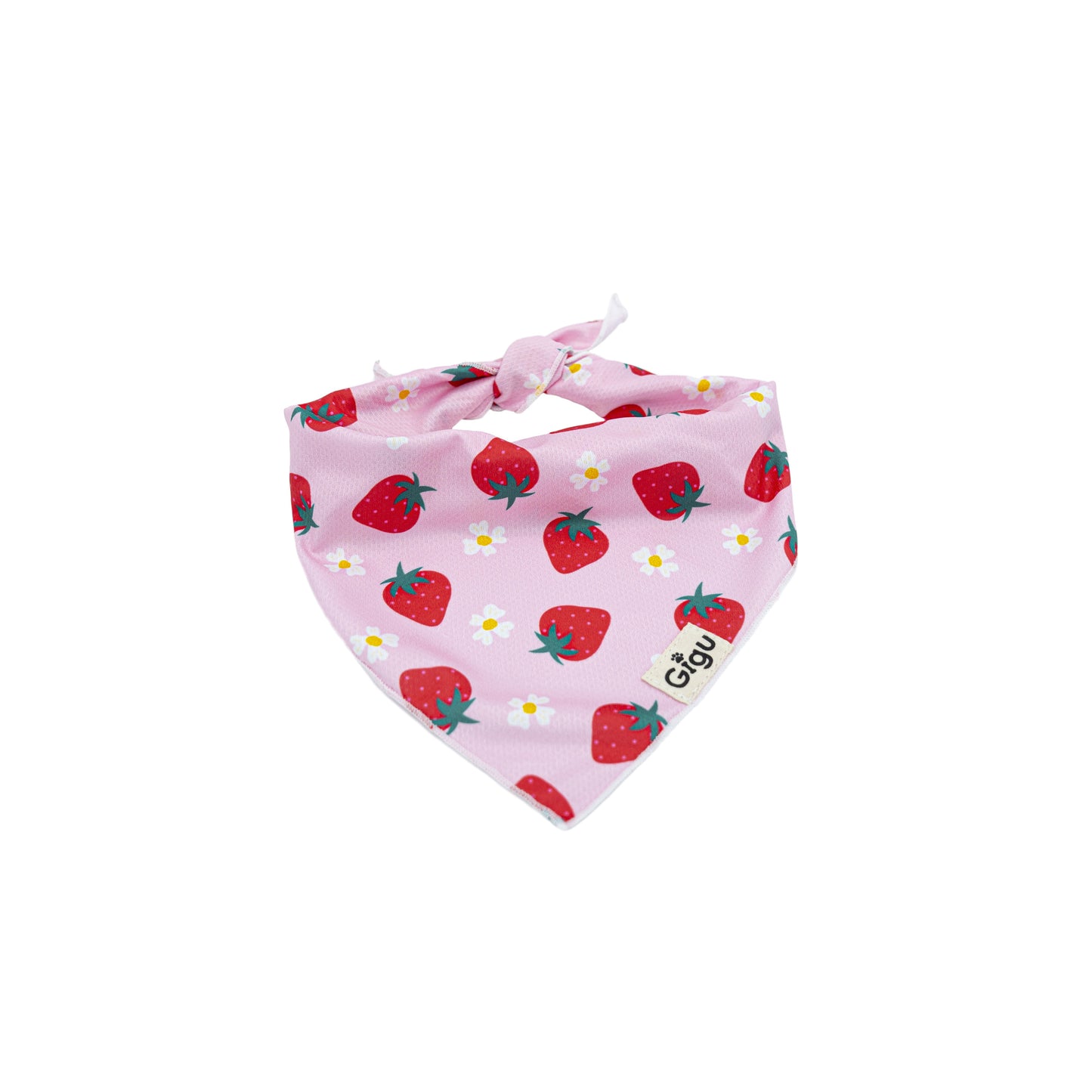 Strawberry Bandana