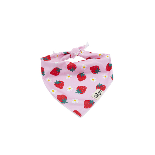 Strawberry Bandana