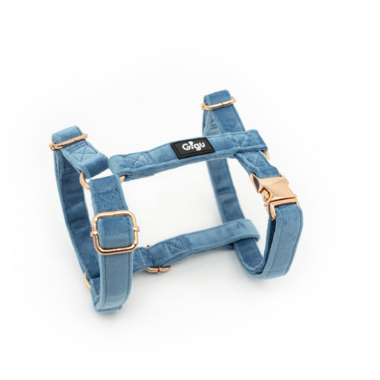 Blue Velvet Harness