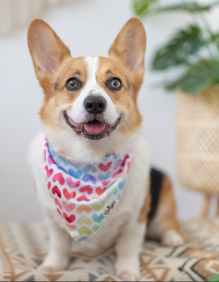 Rainbow Heart Bandana